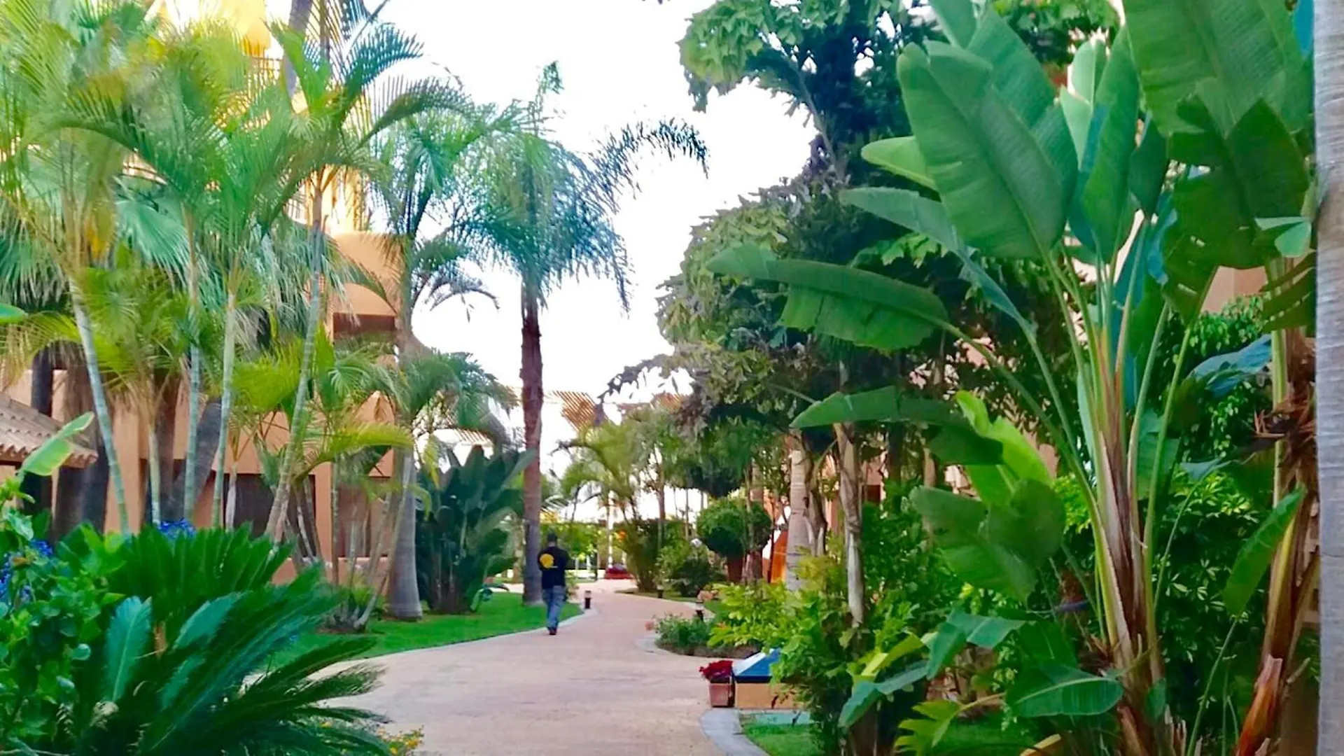Marbella - Alicate Beachfront Apartment - 6 0*,