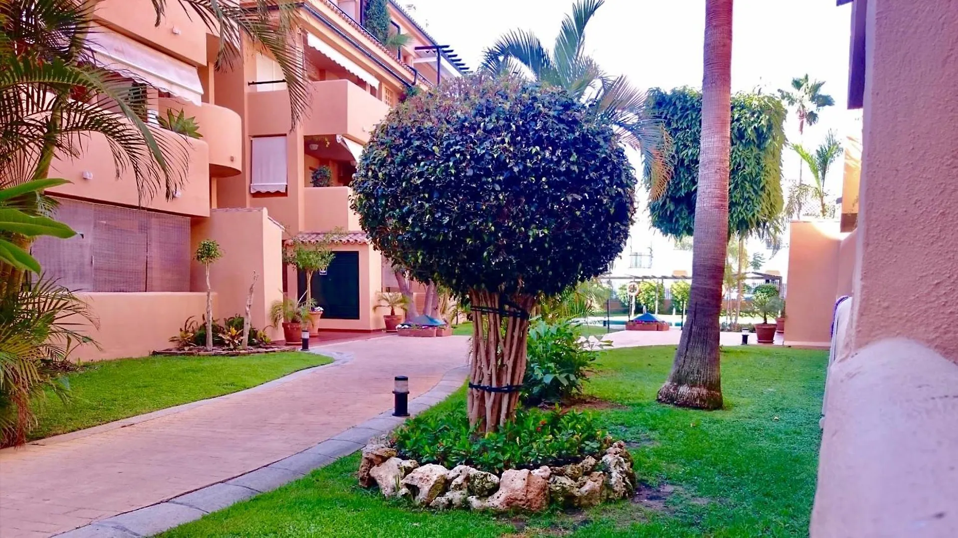 Marbella - Alicate Beachfront Apartment - 6